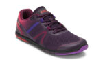 Gradient Purple